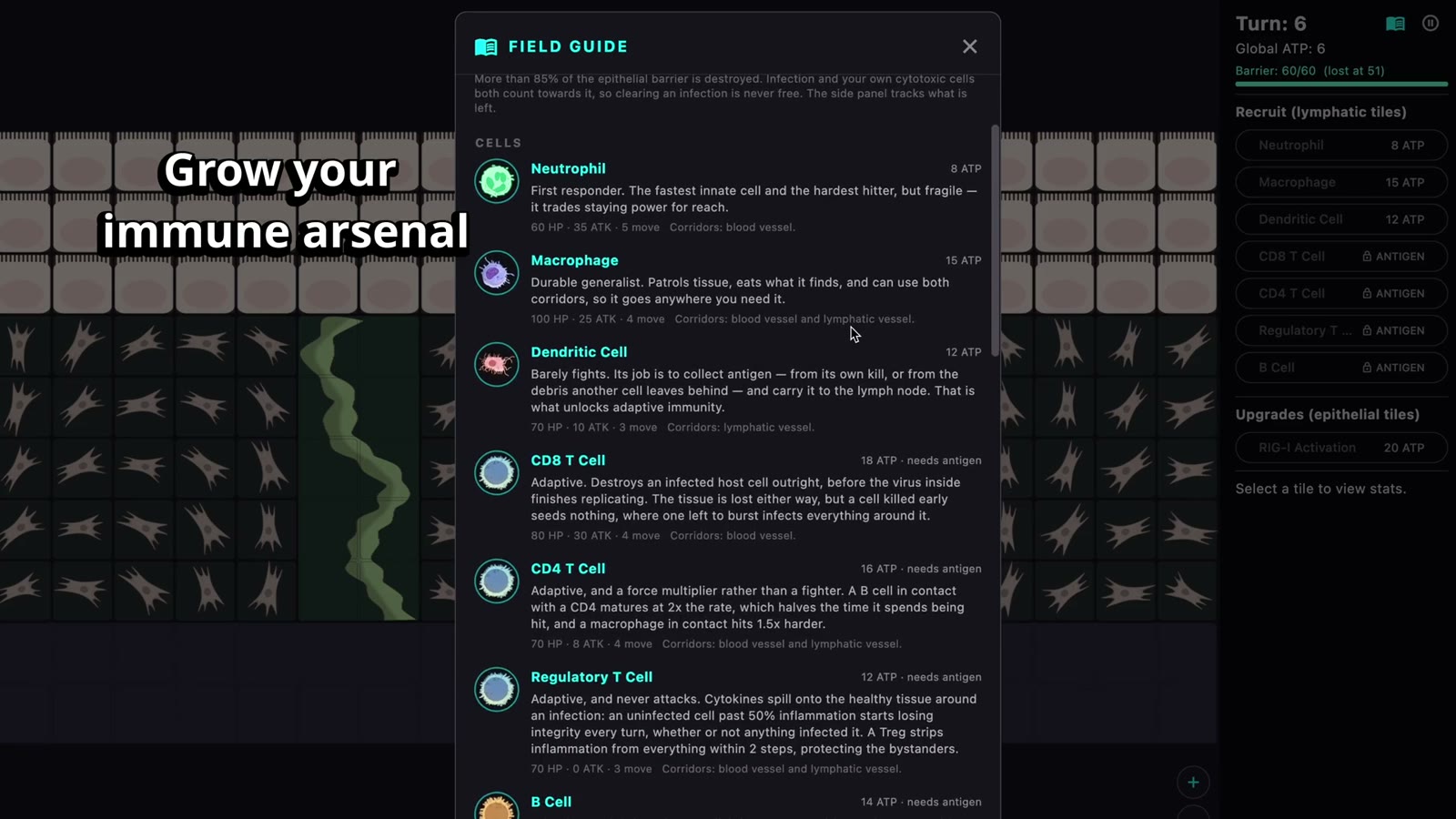 Diapedesis screenshot
